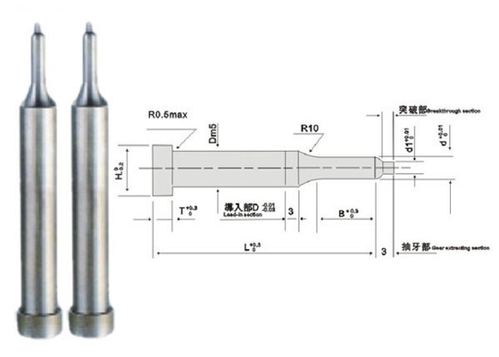 ASTM Plastic Mould Ejector Pin 1.2344 Cermin Bagian Cetakan Presisi yang Dipoles Lapisan TiN