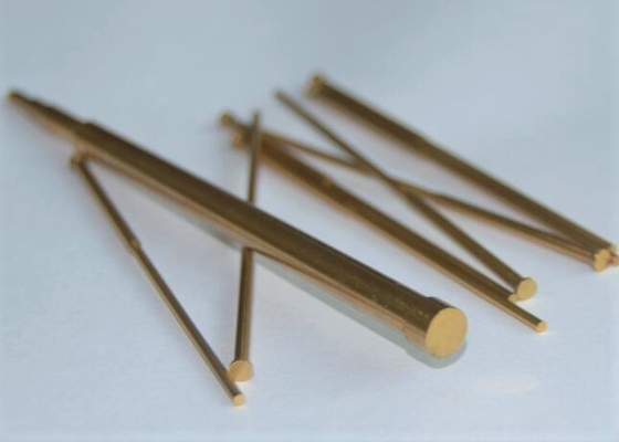 HWS HSS Die Punch Pins DLC TiN Coating EDM Cut Bentuk Khusus DLC Carbide Punch Pin