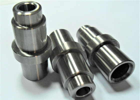 Pin dan Bushing Panduan Standar Hasco SK2 Sangat Disesuaikan dengan Polandia